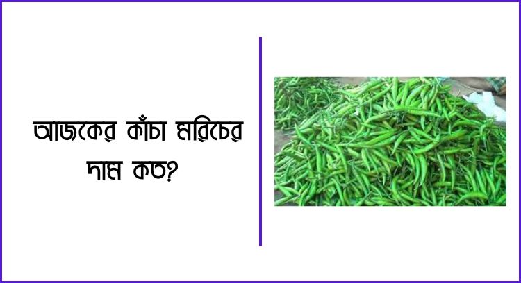 আজকের কাঁচা মরিচের দাম