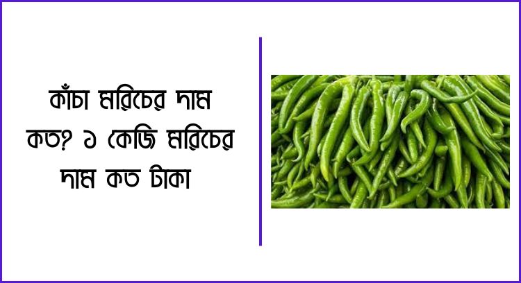 কাঁচা মরিচের দাম