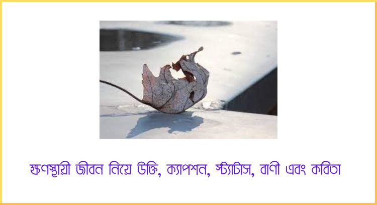ক্ষণস্থায়ী জীবন নিয়ে উক্তি