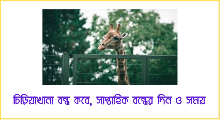 চিড়িয়াখানা বন্ধ কবে