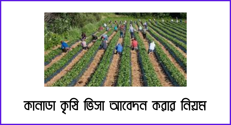 কানাডা কৃষি ভিসা