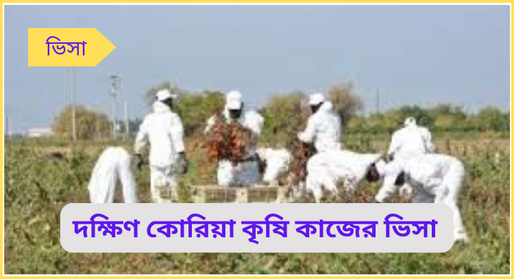 দক্ষিণ কোরিয়া কৃষি কাজের ভিসা