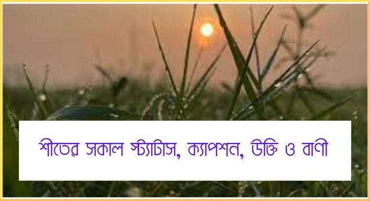 শীতের সকাল স্ট্যাটাস