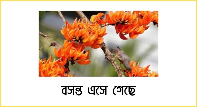 বসন্ত এসে গেছে