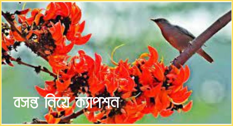 বসন্ত নিয়ে ক্যাপশন