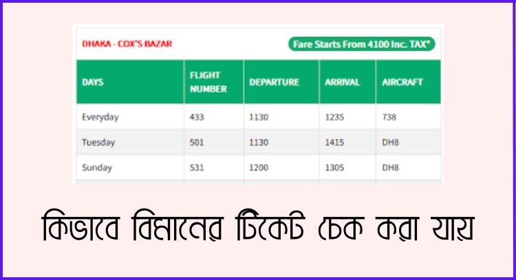 কিভাবে বিমানের টিকেট চেক করা যায়