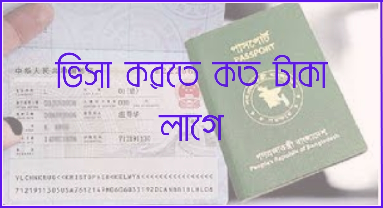 ভিসা করতে কত টাকা লাগে