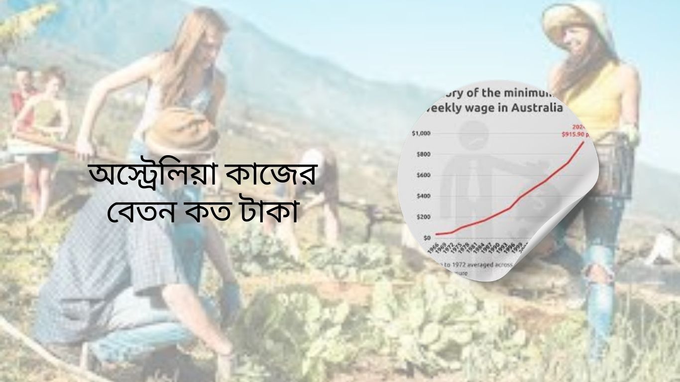 অস্ট্রেলিয়া কাজের বেতন কত টাকা